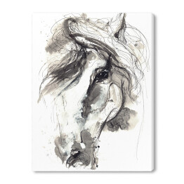 Obraz na płótnie Rysunek koń akwarela