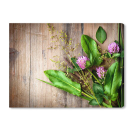 Obraz na płótnie Wiosenne zioła rozłożone na drewnianym stole