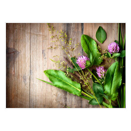 Plakat samoprzylepny Wiosenne zioła rozłożone na drewnianym stole