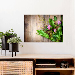 Plakat Wiosenne zioła rozłożone na drewnianym stole