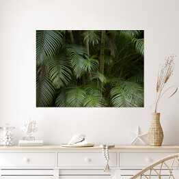 Plakat samoprzylepny Tropikalne liście