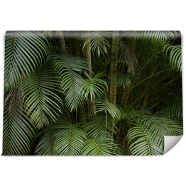 Fototapeta winylowa zmywalna Tropikalne liście