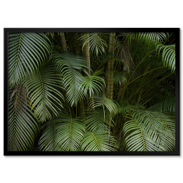 Obraz klasyczny Tropikalne liście