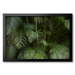 Obraz w ramie Tropikalne liście