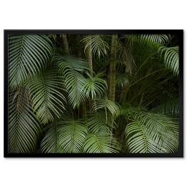 Plakat w ramie Tropikalne liście