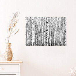 Plakat Wiosenne czarno-białe pnie drzew brzozy 