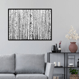 Plakat w ramie Wiosenne czarno-białe pnie drzew brzozy 