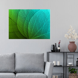 Plakat Duże liście w odcieniach zieleni i błękitu