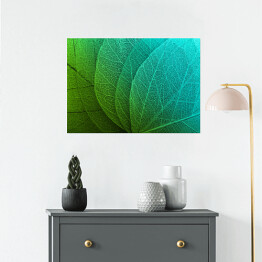 Plakat samoprzylepny Duże liście w odcieniach zieleni i błękitu