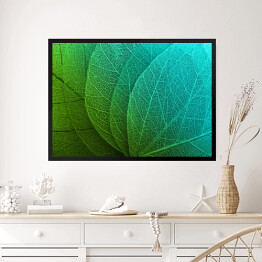 Obraz w ramie Duże liście w odcieniach zieleni i błękitu