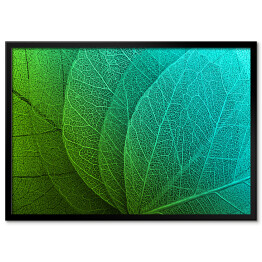 Plakat w ramie Duże liście w odcieniach zieleni i błękitu