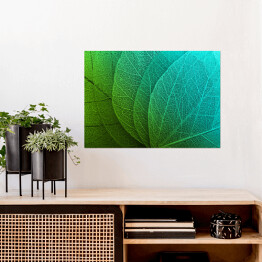 Plakat Duże liście w odcieniach zieleni i błękitu