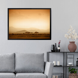 Obraz w ramie Afrykańska sawanna o wschodzie słońca