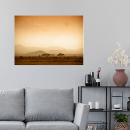 Plakat Afrykańska sawanna o wschodzie słońca