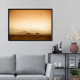 Plakat w ramie Afrykańska sawanna o wschodzie słońca