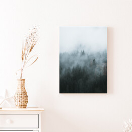 Obraz na płótnie Zdjęcie skandynawski las we mgle 