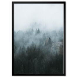 Obraz klasyczny Zdjęcie skandynawski las we mgle 
