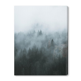 Obraz na płótnie Zdjęcie skandynawski las we mgle 