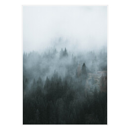Plakat samoprzylepny Zdjęcie skandynawski las we mgle 