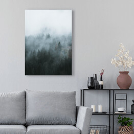 Obraz klasyczny Zdjęcie skandynawski las we mgle 