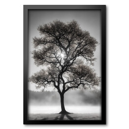 Obraz w ramie Czarno białe zdjęcie drzewo we mgle