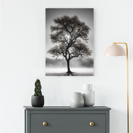 Obraz na płótnie Czarno białe zdjęcie drzewo we mgle