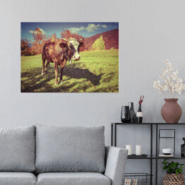 Plakat Czerwona krowa na pastwisku w górach jesienią