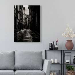 Obraz na płótnie Wąska uliczka. Czarno biały krajobraz miasta