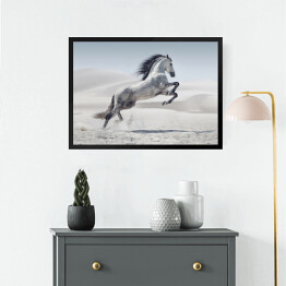 Obraz w ramie Obraz przedstawiający galopującego białego konia