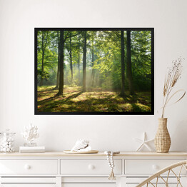 Obraz w ramie las