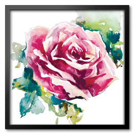 Obraz w ramie Róża w odcieniach fioletu
