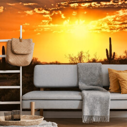 Fototapeta Piękny widok pustyni z kaktusami w Arizonie o zmierzchu 