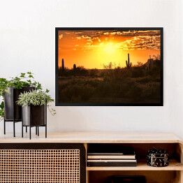 Obraz w ramie Piękny widok pustyni z kaktusami w Arizonie o zmierzchu 