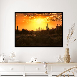 Plakat w ramie Piękny widok pustyni z kaktusami w Arizonie o zmierzchu 