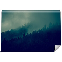 Fototapeta winylowa zmywalna Las w ciemnej mgle