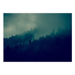 Plakat samoprzylepny Las w ciemnej mgle