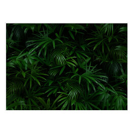 Plakat samoprzylepny Las tropikalny butelkowa zieleń