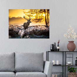 Plakat Sylwetka jelenia wpatrzonego w dal na tle wschodu słońca