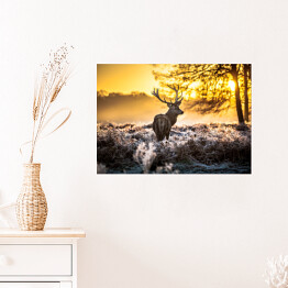 Plakat samoprzylepny Sylwetka jelenia wpatrzonego w dal na tle wschodu słońca