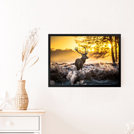 Obraz w ramie Sylwetka jelenia wpatrzonego w dal na tle wschodu słońca