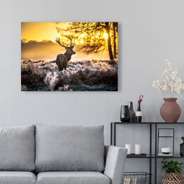 Obraz na płótnie Sylwetka jelenia wpatrzonego w dal na tle wschodu słońca