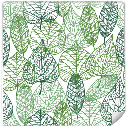 Tapeta w rolce Zielone liście - zarys na białym tle