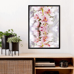 Obraz w ramie Biała orchidea i jej odbicie w wodzie