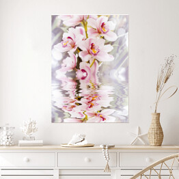 Plakat Biała orchidea i jej odbicie w wodzie