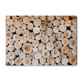 Obraz na płótnie Kłody drewna 