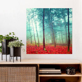 Plakat samoprzylepny Jesienny las