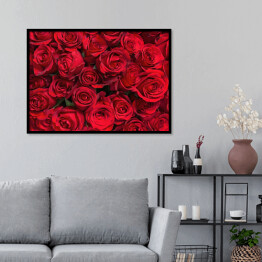 Plakat w ramie Kolorowe kwiaty - bukiet czerwonych róż