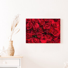 Obraz klasyczny Kolorowe kwiaty - bukiet czerwonych róż