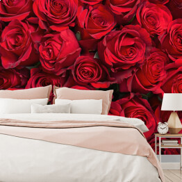 Fototapeta winylowa zmywalna Kolorowe kwiaty - bukiet czerwonych róż