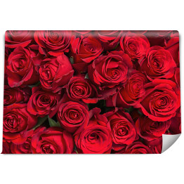 Fototapeta winylowa zmywalna Kolorowe kwiaty - bukiet czerwonych róż